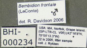 Media type: image;   Entomology 602197 Aspect: labels